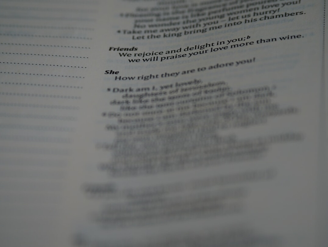 tv script writing