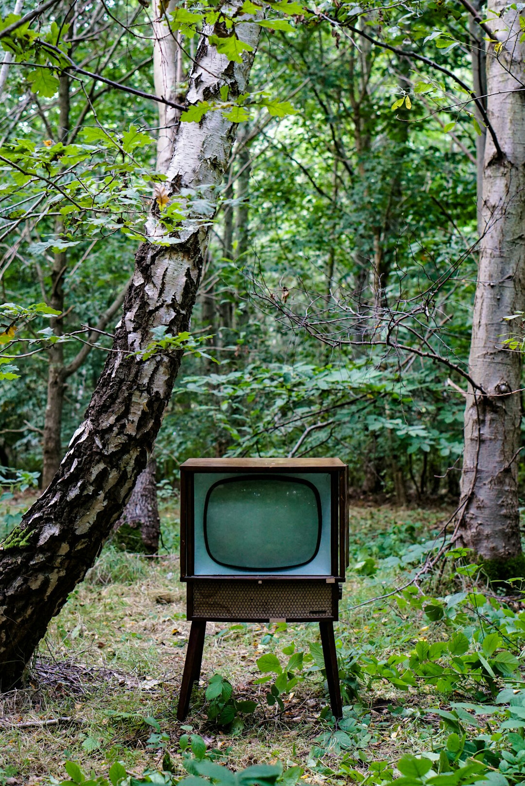 vintage television set